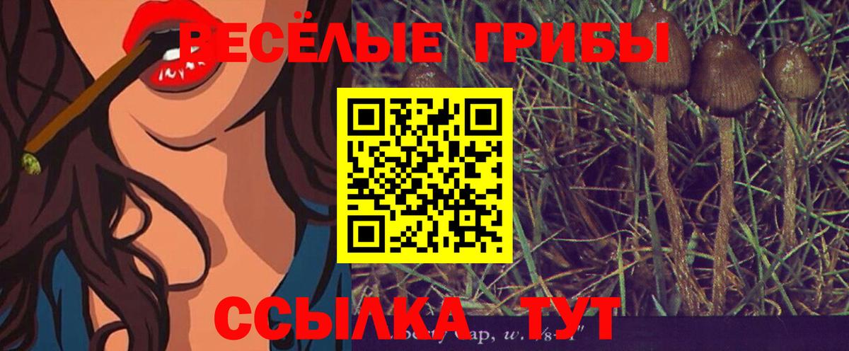 Галлюциногенные грибы ЛСД Наро-Фоминск